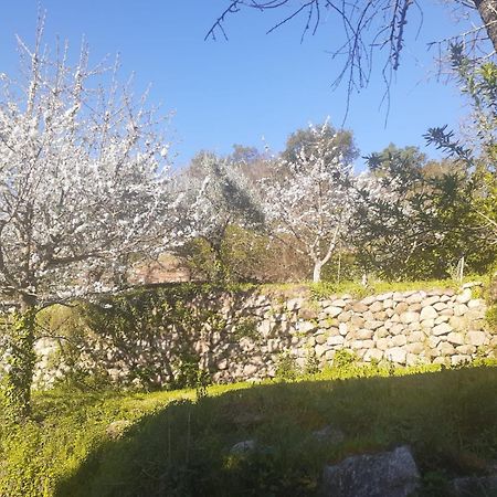 Quinta Dos Carvalhos The Wine House Farm In Center Of Lamego - Capital Of The Douro Villa Bagian luar foto
