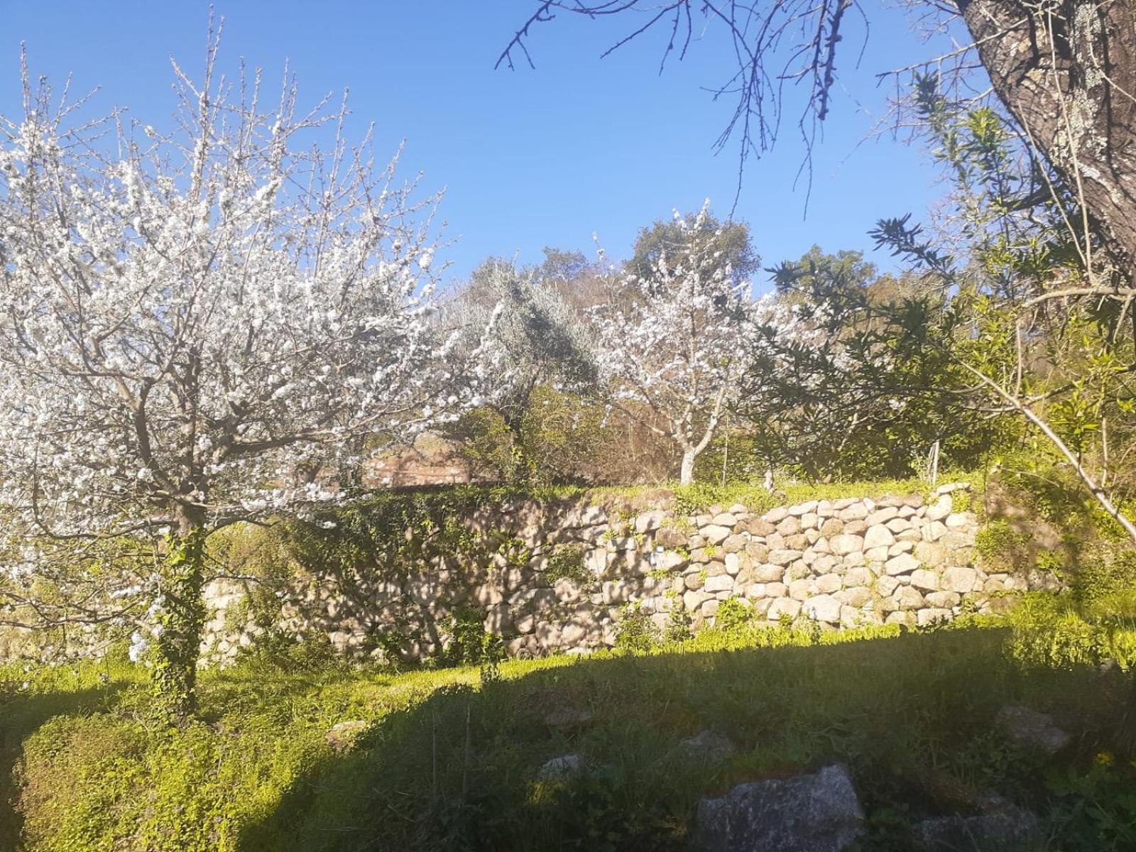 Quinta Dos Carvalhos The Wine House Farm In Center Of Lamego - Capital Of The Douro Villa Bagian luar foto